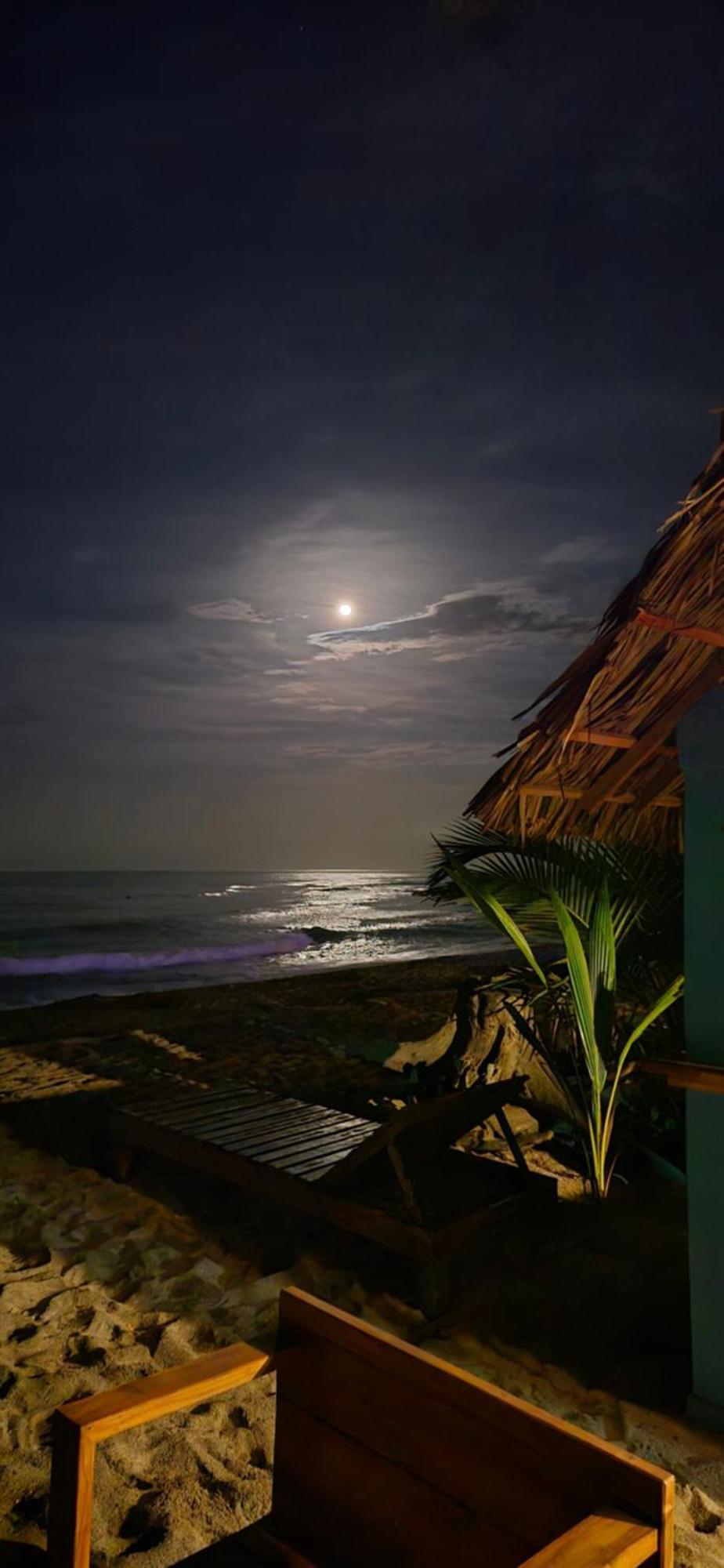 Bob Marley Beach Guachaca Zewnętrze zdjęcie